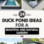 24 Duck Pond Ideas for a Beautiful and Natural Garden