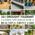 23 Drought-Tolerant Landscape Ideas for a Beautiful Front Yard