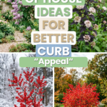 18 Bushes in Front of House Ideas for Better Curb Appeal