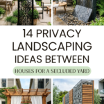 14 Privacy Landscaping Ideas Between Houses for a Secluded Yard