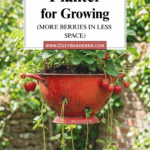 21 Strawberry Planter Ideas for Growing More Berries in Less Space