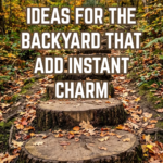 12 Front Steps Ideas for the Backyard That Add Instant Charm