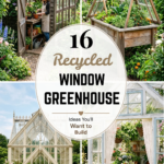 16 Recycled Window Greenhouse Ideas You’ll Want to Build