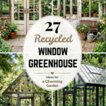 27 Recycled Window Greenhouse Ideas for a Charming Garden