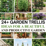 24 Garden Trellis Ideas for a Beautiful and Productive Garden