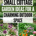 12 Small Cottage Garden Ideas for a Charming Outdoor Space