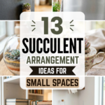 13 Succulent Arrangement Ideas for Small Spaces That Look Amazing