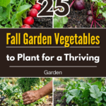 25 Fall Garden Vegetables to Plant for a Thriving Garden