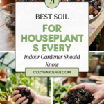 21 Best Soil for Houseplants Every Indoor Gardener Should Know