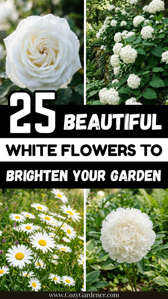 25 Beautiful White Flowers to Brighten Your Garden