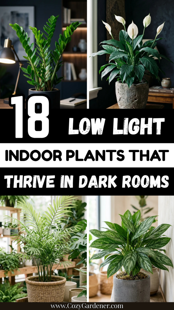 18 Low Light Indoor Plants That Thrive in Dark Rooms