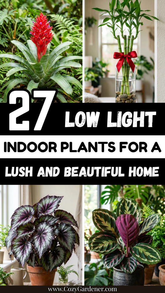 27 Low Light Indoor Plants for a Lush and Beautiful Home