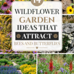 14 Wildflower Garden Ideas That Attract Bees and Butterflies