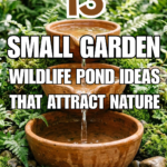 13 Small Garden Wildlife Pond Ideas That Attract Nature