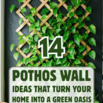 14 Pothos Wall Ideas That Turn Your Home Into a Green Oasis