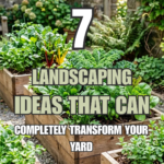7 Landscaping Ideas That Can Completely Transform Your Yard