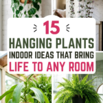15 Hanging Plants Indoor Ideas That Bring Life to Any Room
