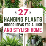 27 Hanging Plants Indoor Ideas for a Lush and Stylish Home